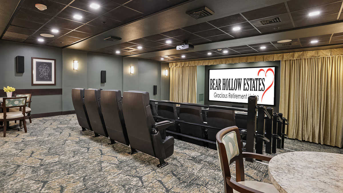 Bear Hollow Estates theater2