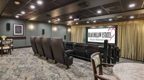 Bear Hollow Estates - Theater
